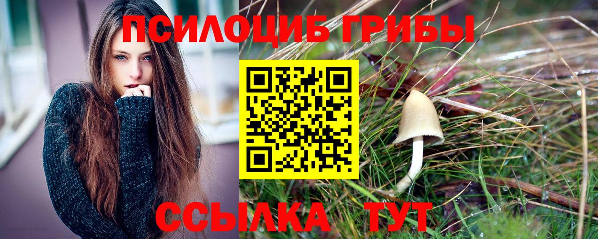 Галлюциногенные грибы прущие грибы Острогожск